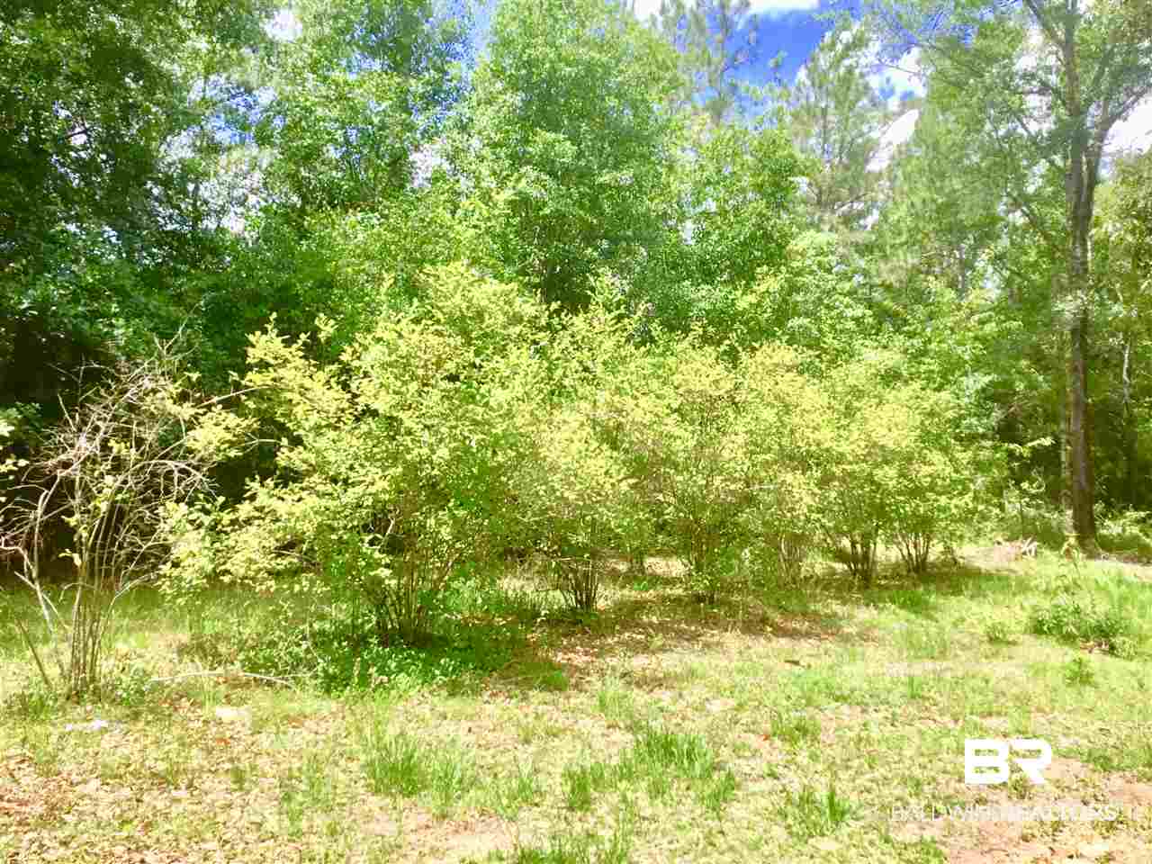 25420 Waterworld Road Robertsdale, AL 36567 - Photo 18 of 19