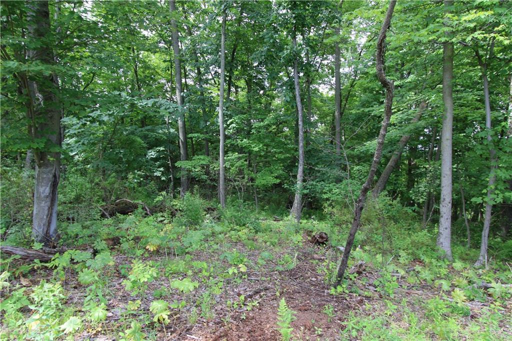 0 Campground Road West Middlesex, PA 16159 - Photo 9 of 12