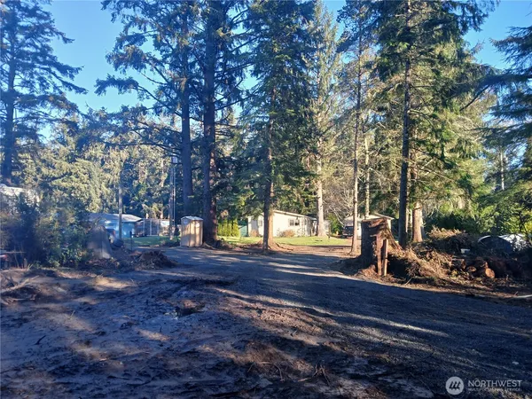 a view of a yard with large trees