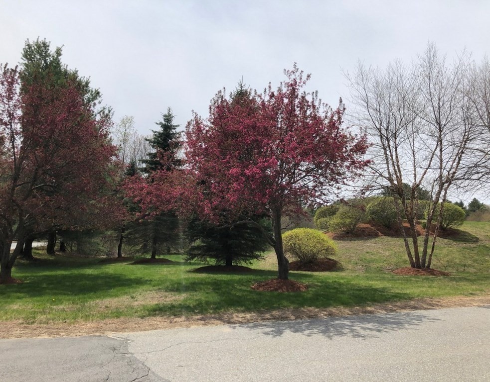 226 Swanson Road, Unit 622 Boxborough, MA 01719 - Photo 15 of 19