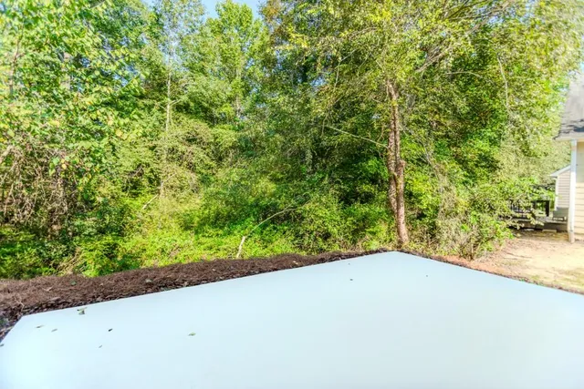 a view of a yard with a plants