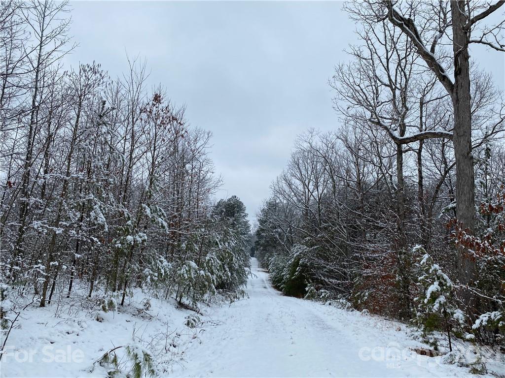 481 Pilot Ridge Road, Unit 27 Nebo, NC 28761 - Photo 25 of 32 a view of a forest with trees in front of it