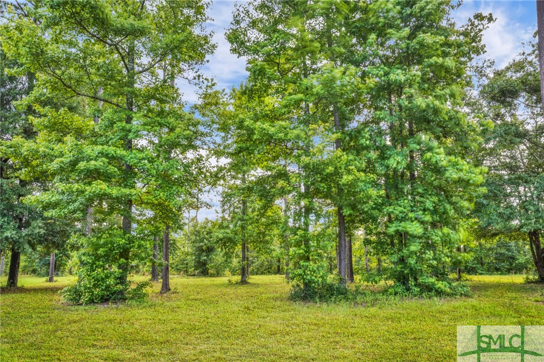 Lot 34 Tranquility Place Townsend, GA 31331 - Photo 1 of 38