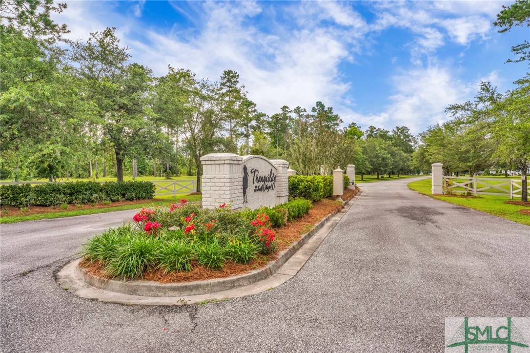 Lot 34 Tranquility Place Townsend, GA 31331 - Photo 11 of 38