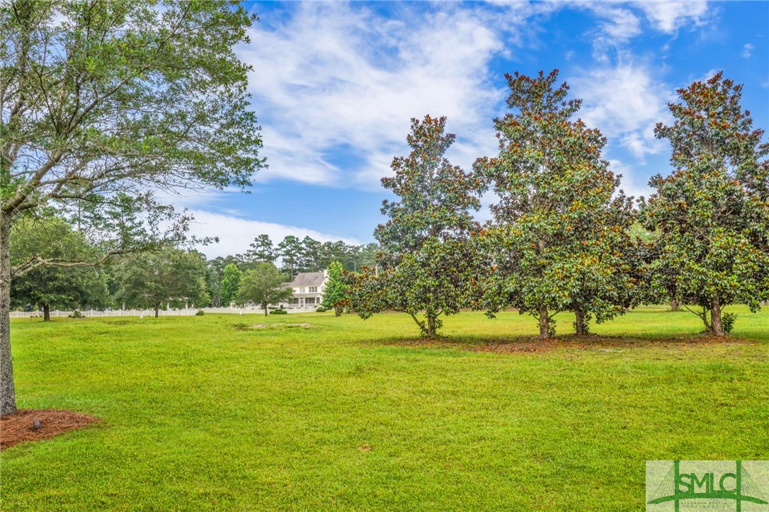 Lot 34 Tranquility Place Townsend, GA 31331 - Photo 18 of 38