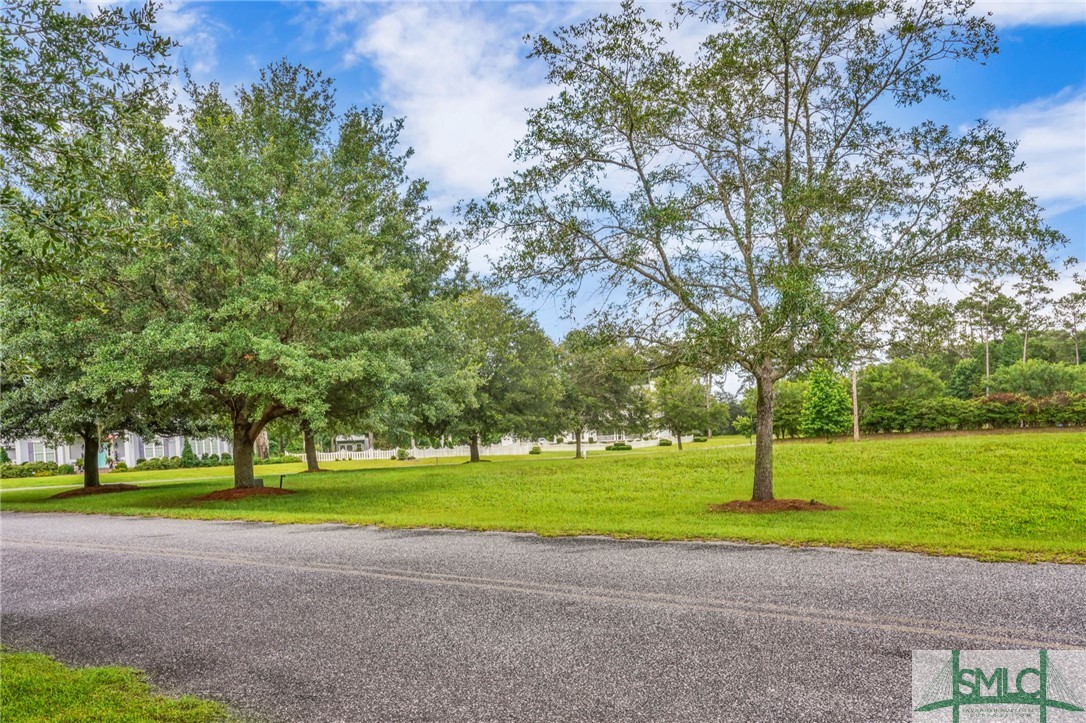Lot 34 Tranquility Place Townsend, GA 31331 - Photo 19 of 38