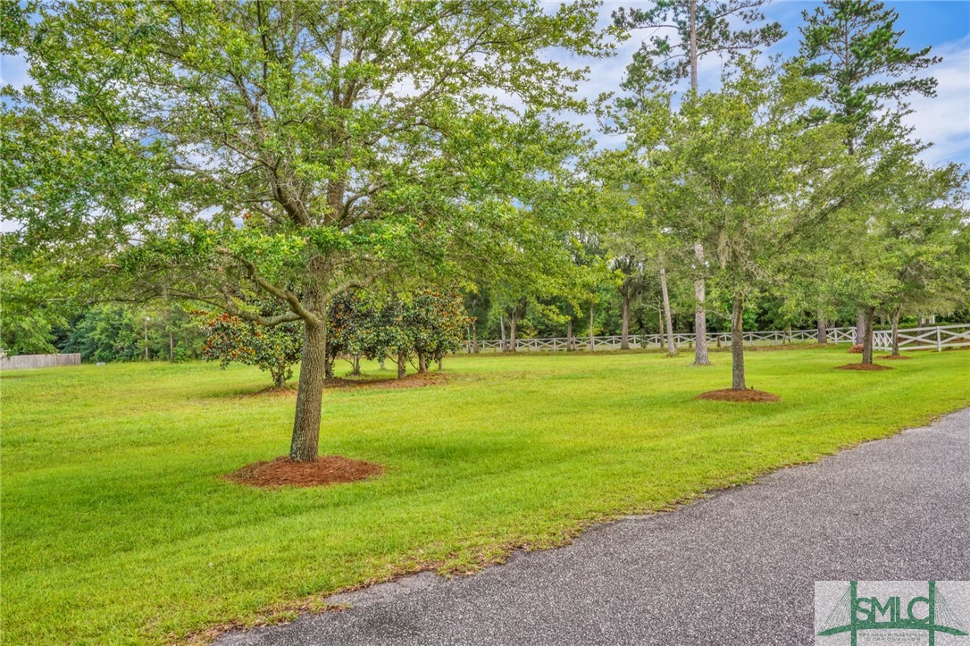 Lot 34 Tranquility Place Townsend, GA 31331 - Photo 20 of 38