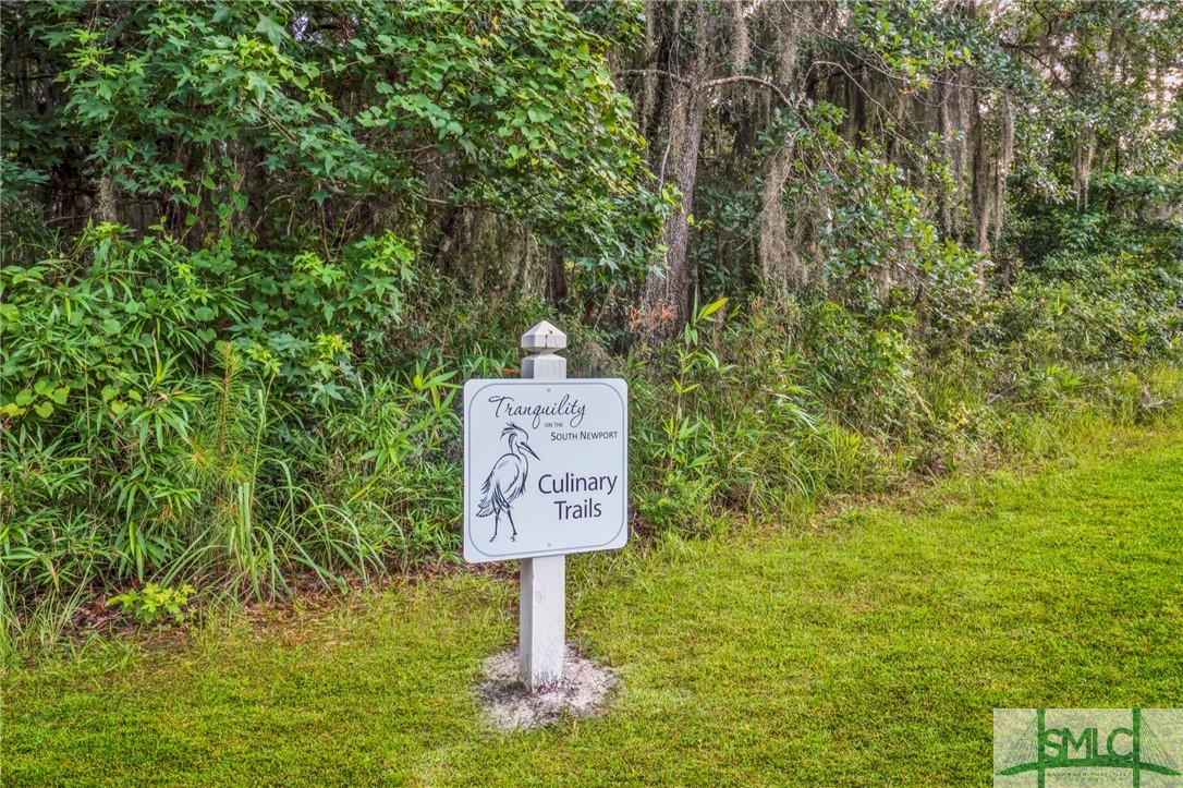 Lot 34 Tranquility Place Townsend, GA 31331 - Photo 26 of 38