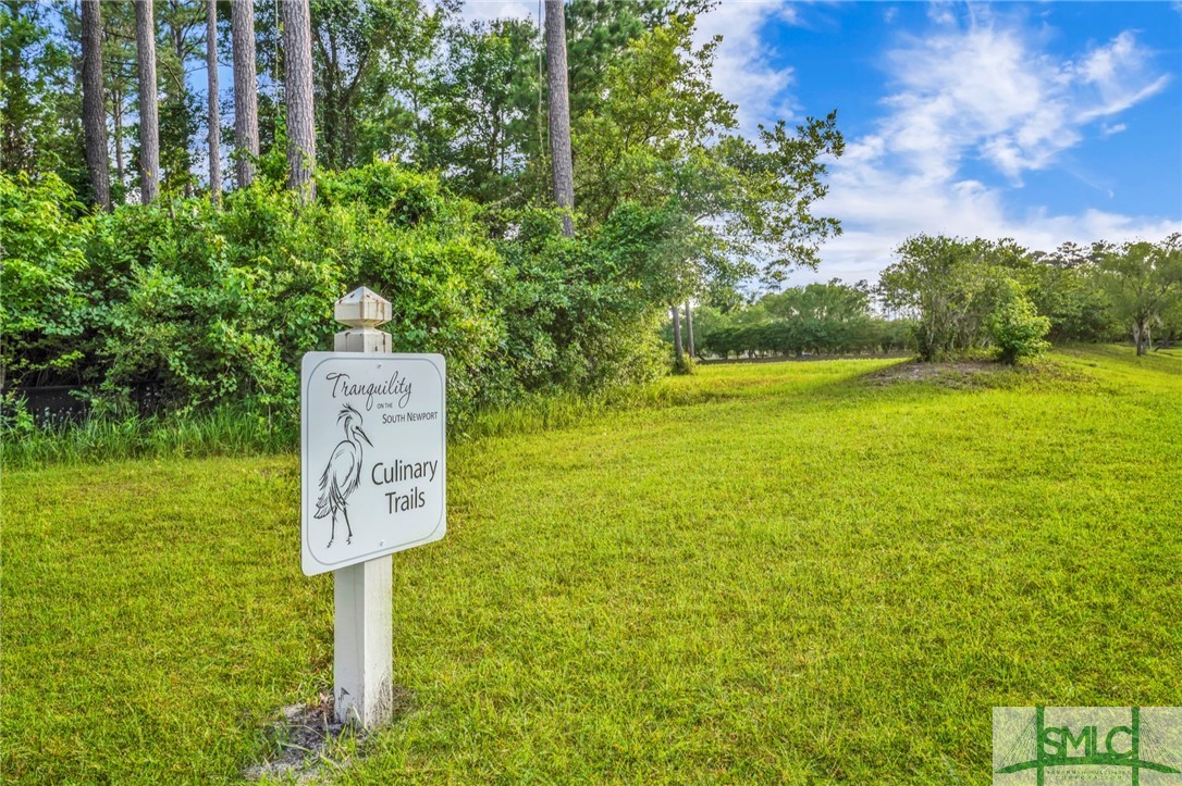 Lot 34 Tranquility Place Townsend, GA 31331 - Photo 27 of 38