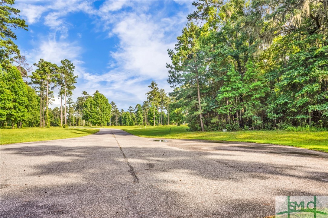 Lot 34 Tranquility Place Townsend, GA 31331 - Photo 6 of 38