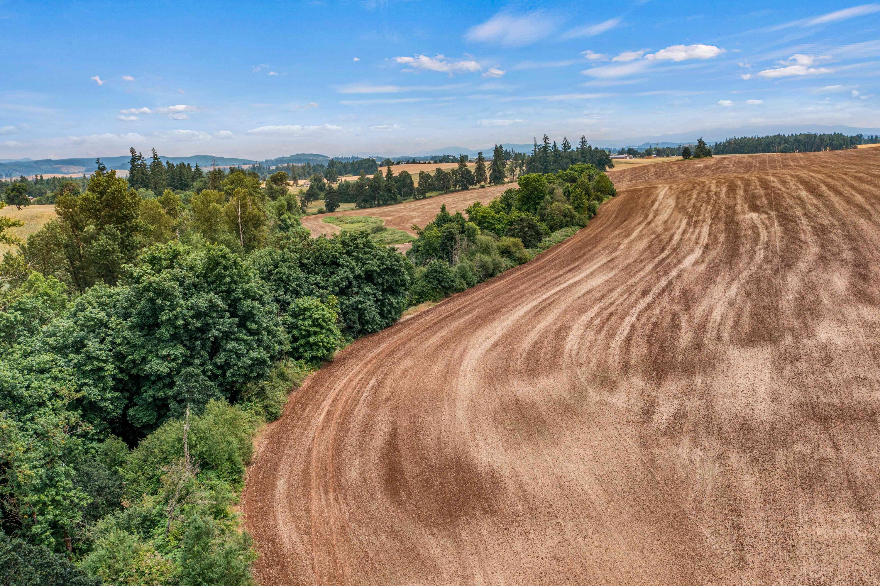 Anderson Road Northeast, Unit 100 Sublimity, OR 97385 - Photo 15 of 24 14DJI_0354