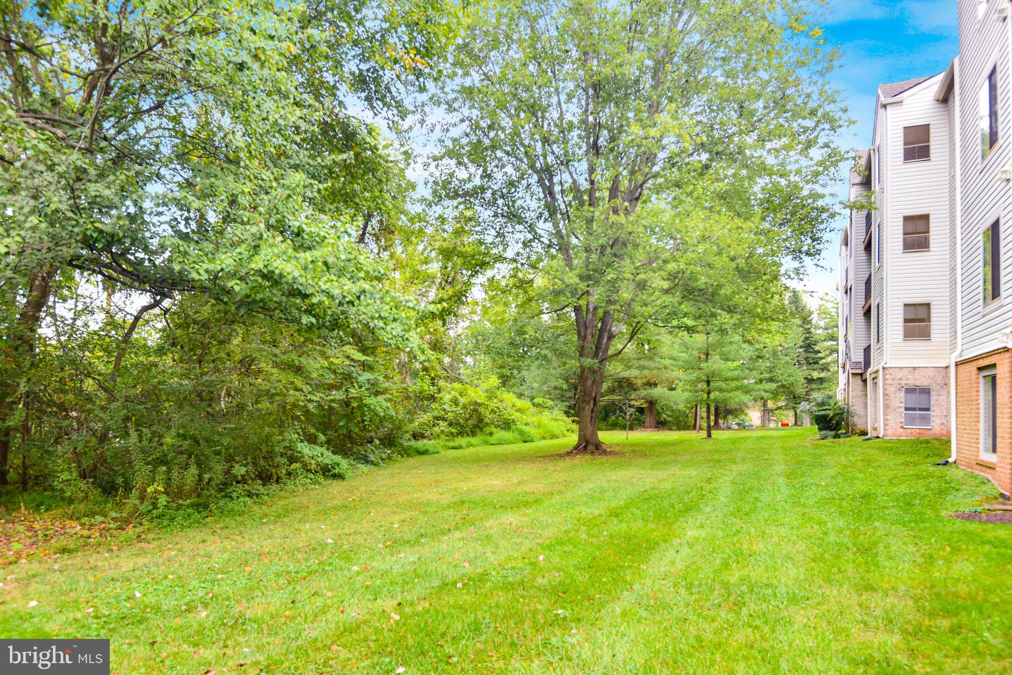9554 Cannoneer Court, Unit 101 Manassas, VA 20110 - Photo 12 of 15 Back Yard
