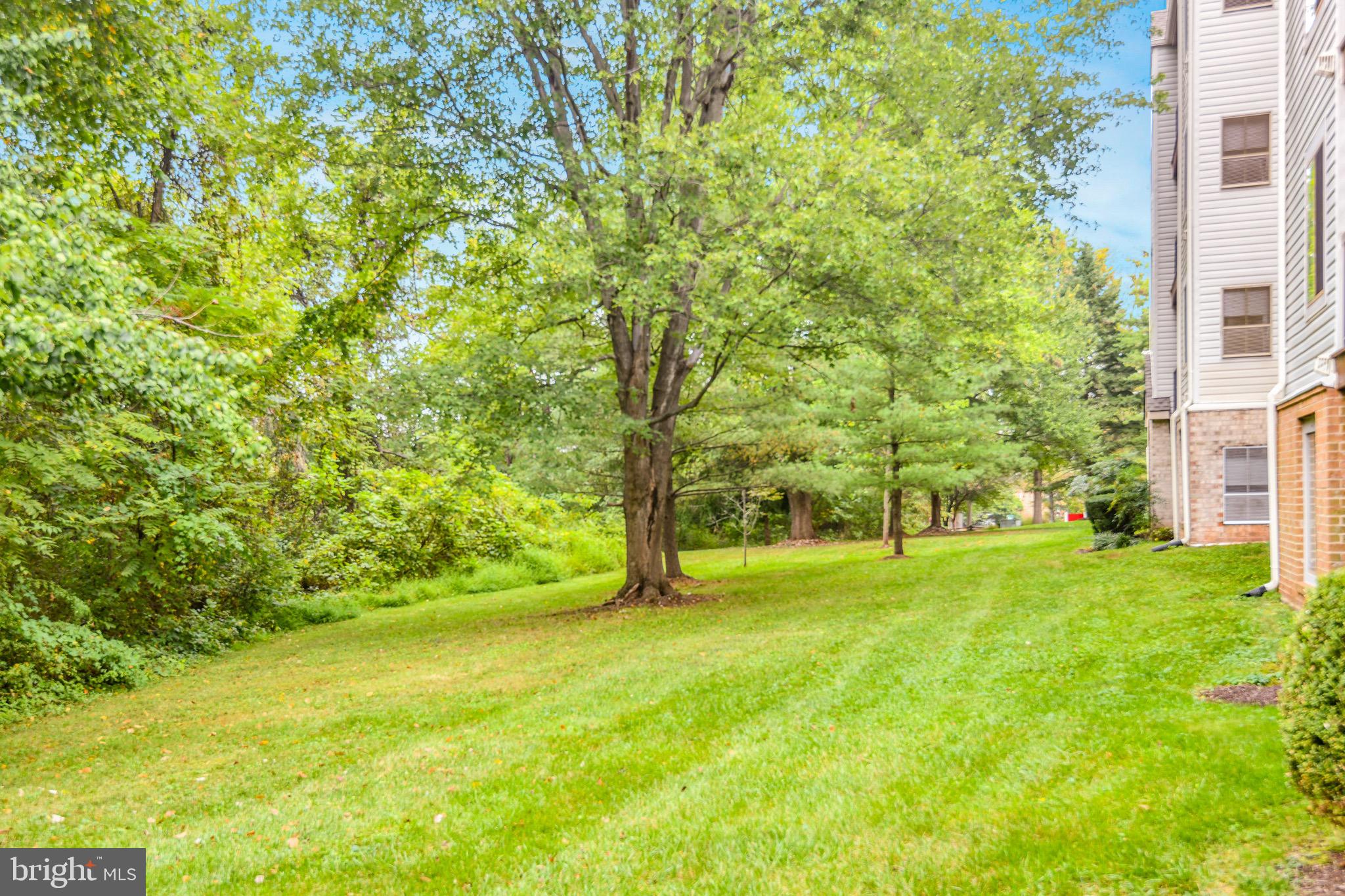 9554 Cannoneer Court, Unit 101 Manassas, VA 20110 - Photo 14 of 15 Backyard