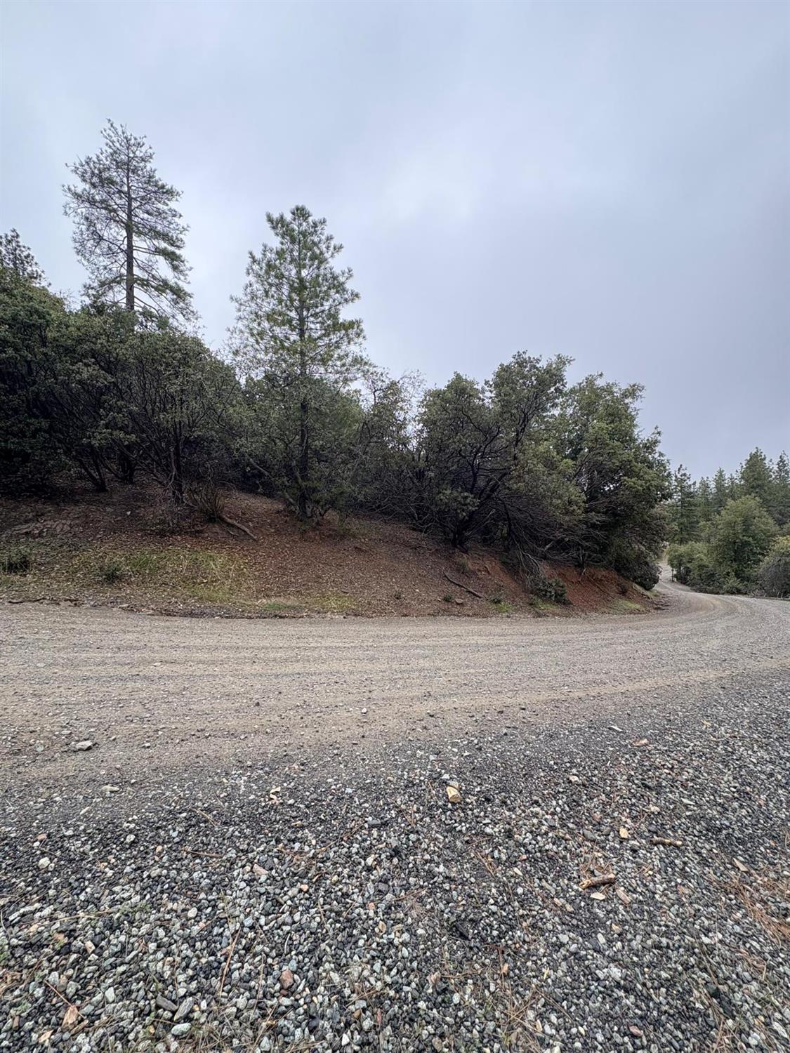 0 Jackass Ridge Road Coulterville, CA 95311 - Photo 10 of 11 Gallery Image 10