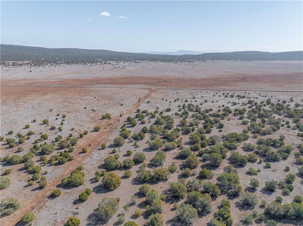 34745 West Running Shadow Road Seligman, AZ 86337 - Photo 25 of 52