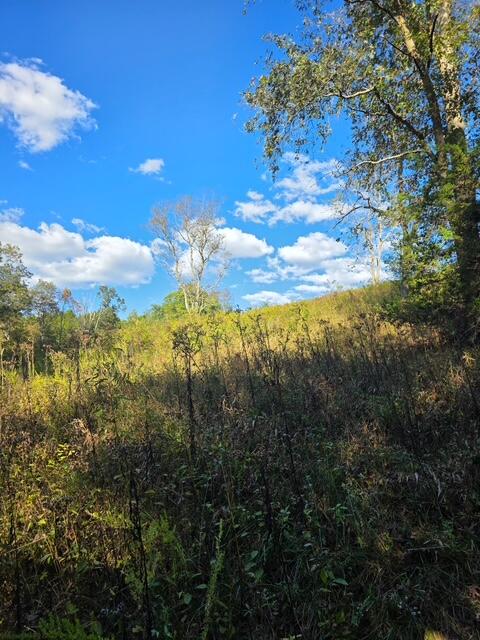 408 Mattox Road Falmouth, KY 41040 - Photo 19 of 28