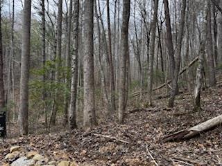 29-30 Sunset Drive Hamilton, GA 31811 - Photo 11 of 26 a view of a yard with trees