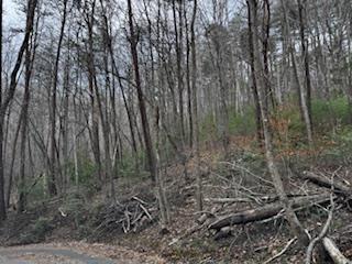 29-30 Sunset Drive Hamilton, GA 31811 - Photo 13 of 26 a view of a yard