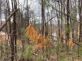 29-30 Sunset Drive Hamilton, GA 31811 - Photo 16 of 26