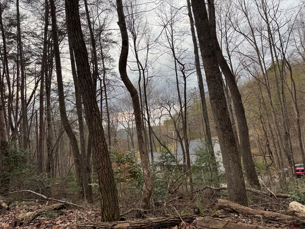 29-30 Sunset Drive Hamilton, GA 31811 - Photo 2 of 26 a view of a forest