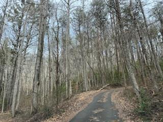 29-30 Sunset Drive Hamilton, GA 31811 - Photo 22 of 26 a view of a backyard with trees
