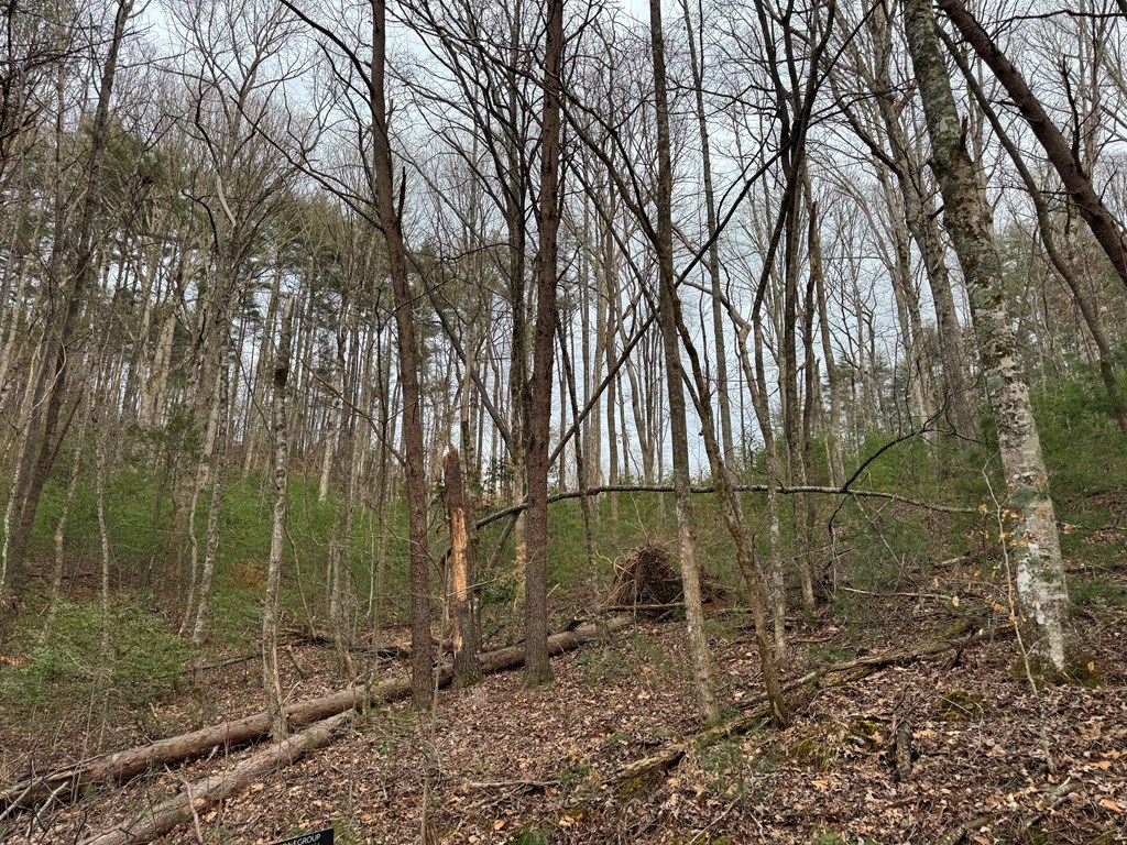 29-30 Sunset Drive Hamilton, GA 31811 - Photo 3 of 26 a backyard of a house with lots of green space