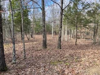 1525 Mt Vernon Road Bethpage, TN 37022 - Photo 1 of 21 Gallery Image 1