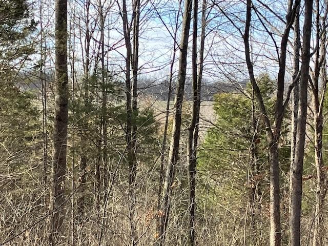 1525 Mt Vernon Road Bethpage, TN 37022 - Photo 2 of 21 Gallery Image 2