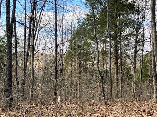 1525 Mt Vernon Road Bethpage, TN 37022 - Photo 3 of 21 Gallery Image 3