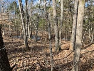 1525 Mt Vernon Road Bethpage, TN 37022 - Photo 4 of 21 Gallery Image 4