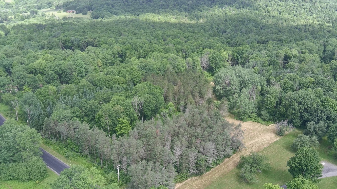 249 Hall Road Afton, NY 13730 - Photo 1 of 24 Gallery Image 1