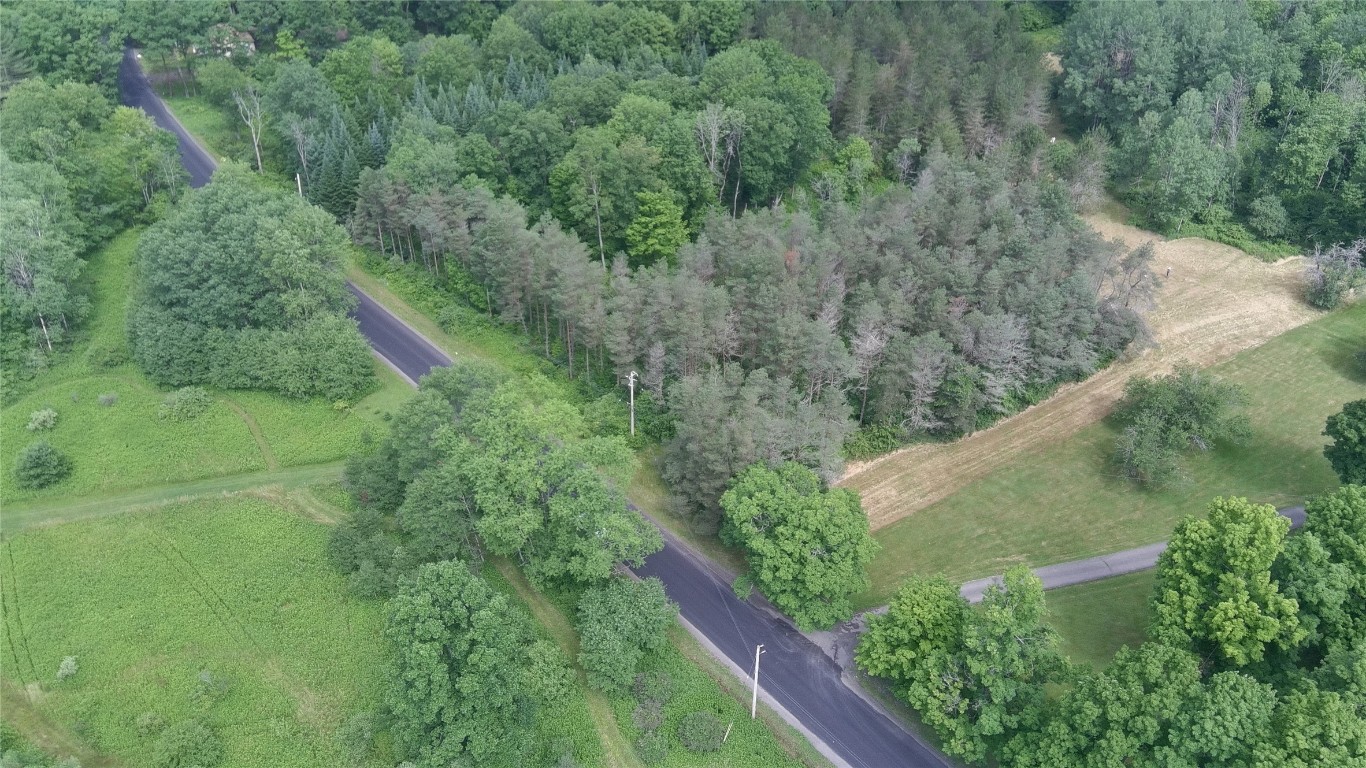 249 Hall Road Afton, NY 13730 - Photo 11 of 24 Gallery Image 11