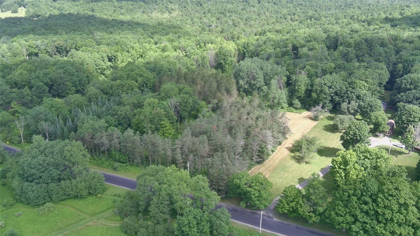 249 Hall Road Afton, NY 13730 - Photo 12 of 24 Gallery Image 12