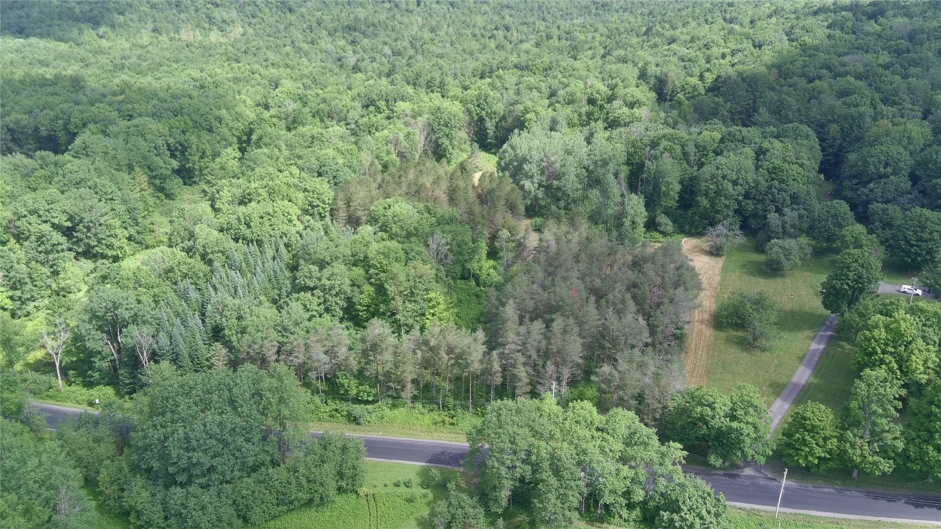 249 Hall Road Afton, NY 13730 - Photo 13 of 24 Gallery Image 13