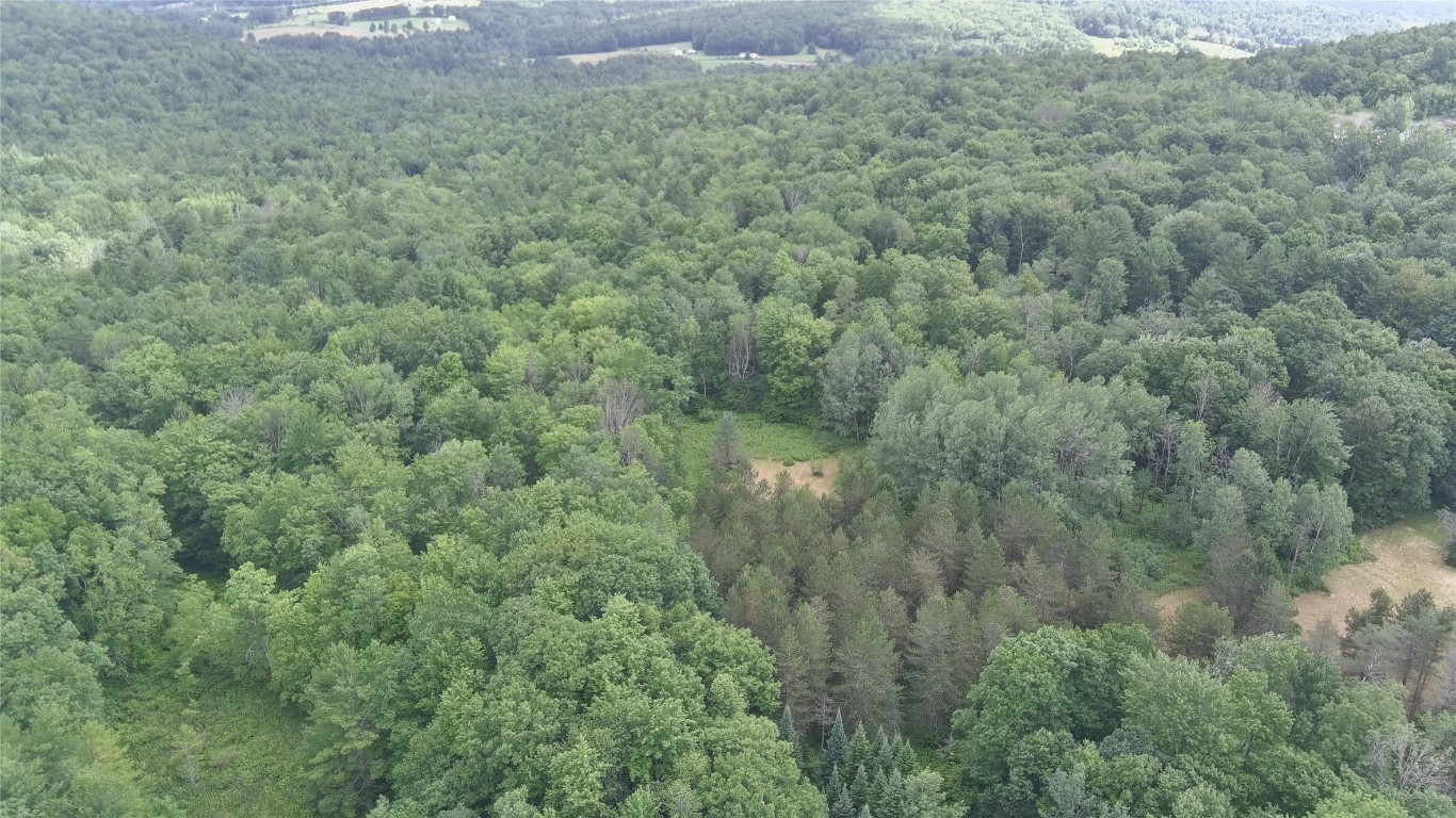 249 Hall Road Afton, NY 13730 - Photo 16 of 24 Gallery Image 16