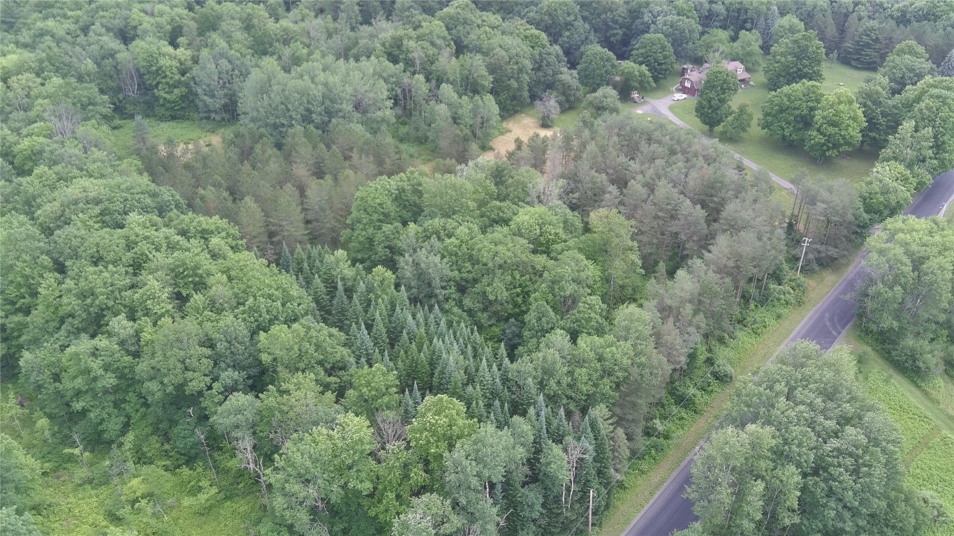 249 Hall Road Afton, NY 13730 - Photo 17 of 24 Gallery Image 17