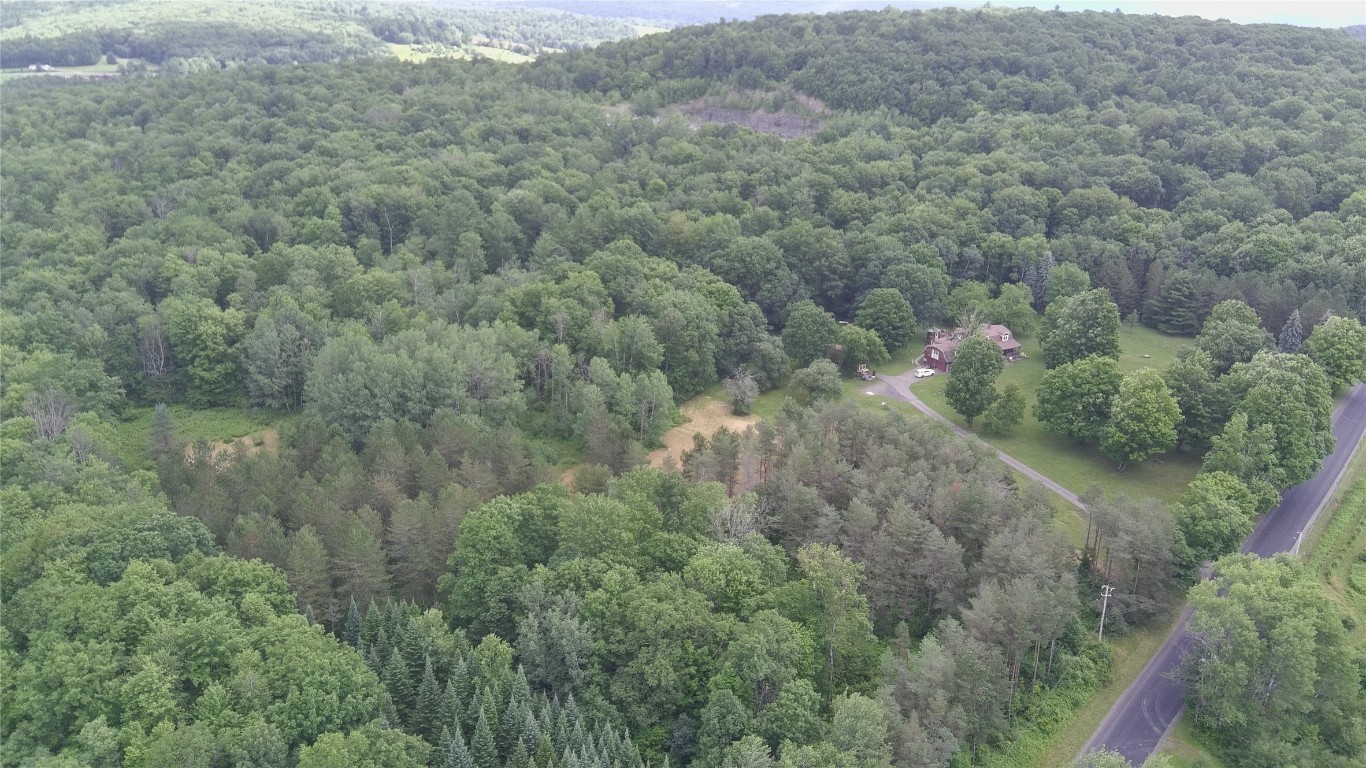249 Hall Road Afton, NY 13730 - Photo 19 of 24 Gallery Image 19