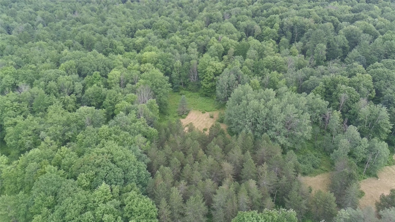 249 Hall Road Afton, NY 13730 - Photo 21 of 24 Gallery Image 21