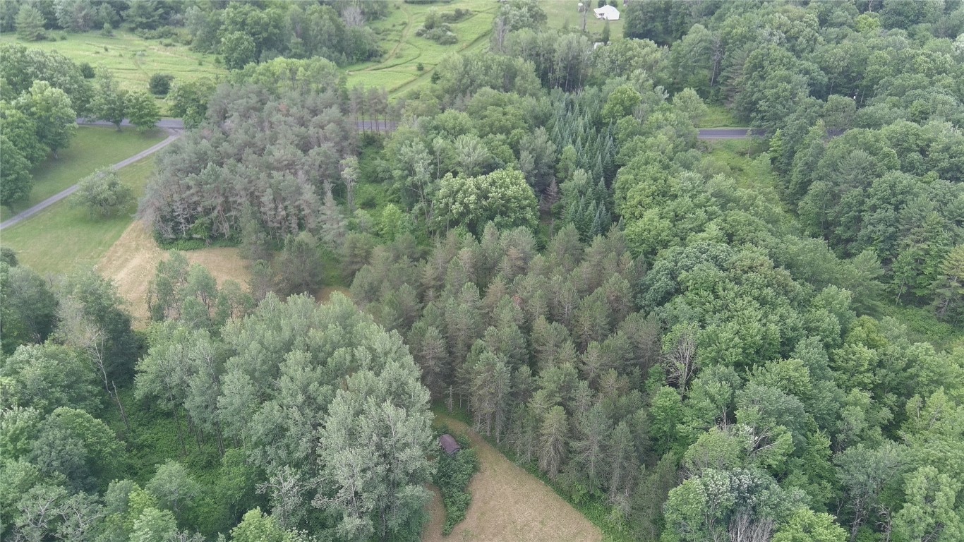 249 Hall Road Afton, NY 13730 - Photo 23 of 24 Gallery Image 23