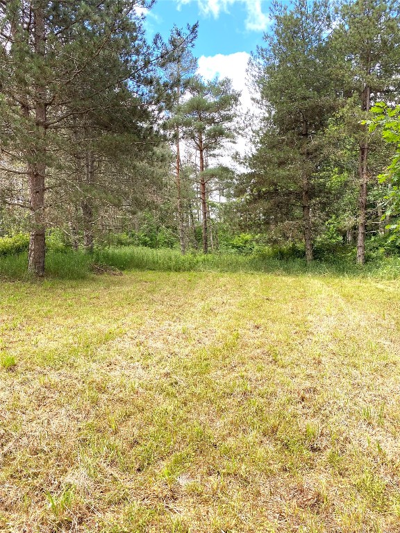 249 Hall Road Afton, NY 13730 - Photo 4 of 24 Gallery Image 4