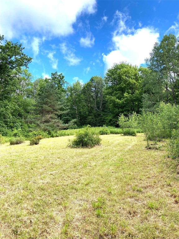 249 Hall Road Afton, NY 13730 - Photo 5 of 24 Gallery Image 5
