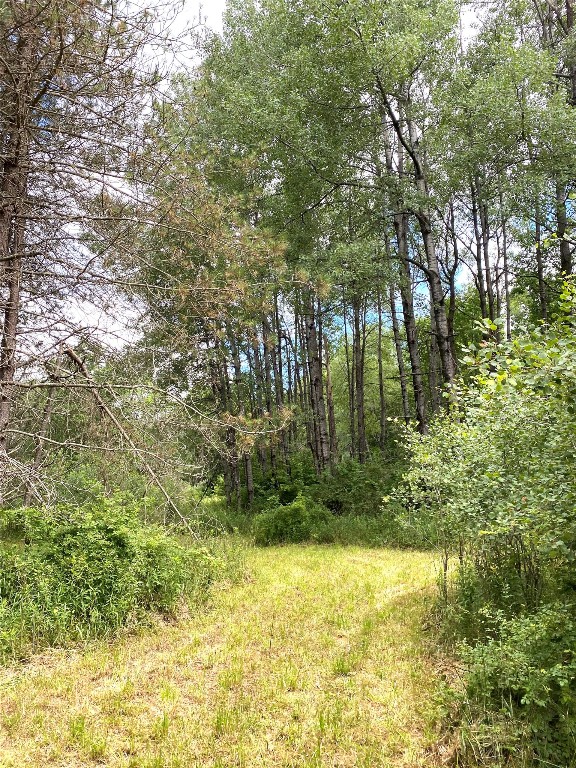 249 Hall Road Afton, NY 13730 - Photo 6 of 24 Gallery Image 6