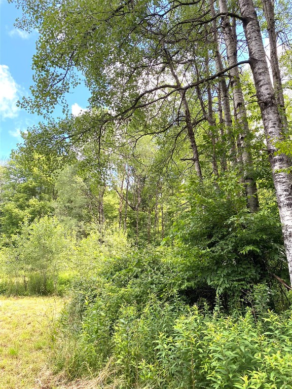 249 Hall Road Afton, NY 13730 - Photo 7 of 24 Gallery Image 7