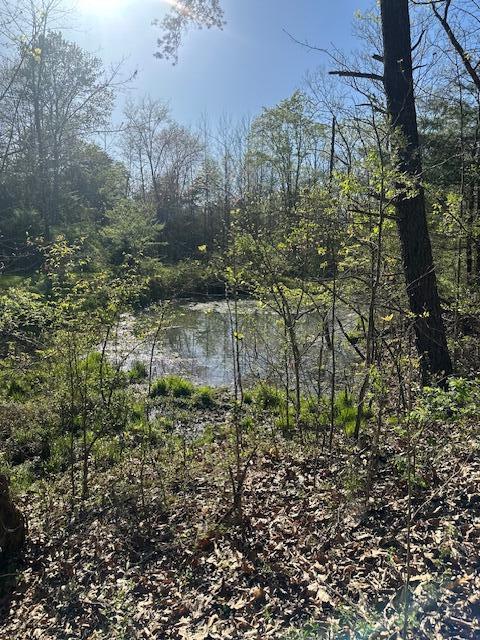 35310 Geiger Road Logan, OH 43138 - Photo 16 of 56 IMG_8846