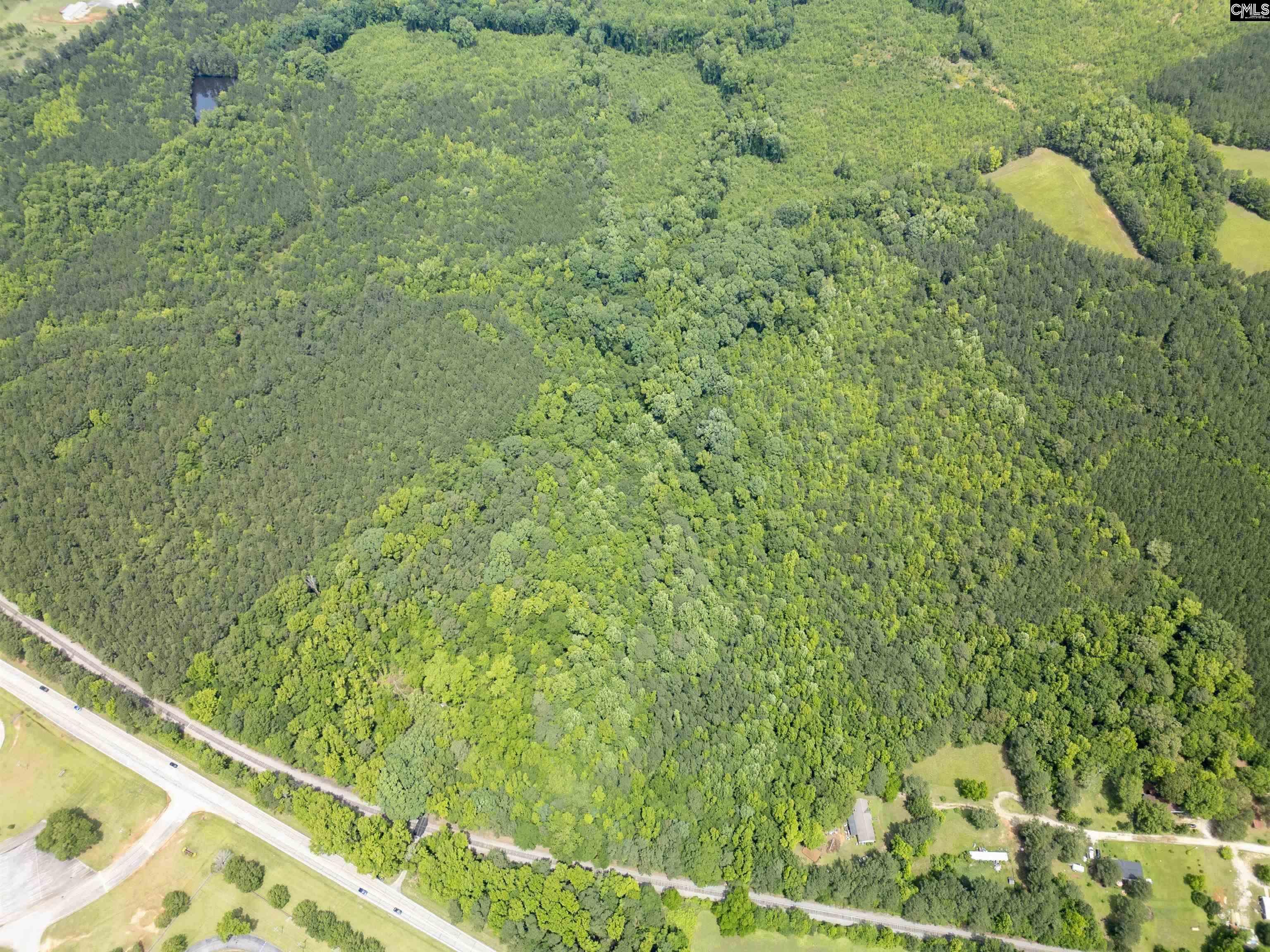 0 Highway 76 Prosperity, SC 29127 - Photo 2 of 5
