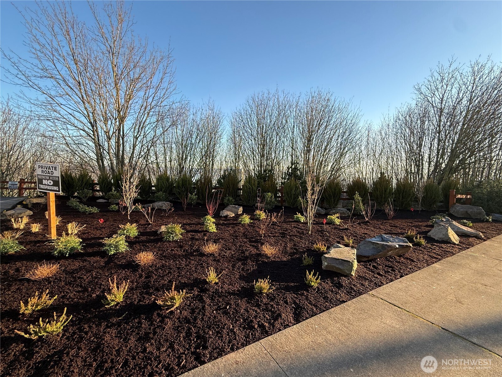 1 North Stadium Way, Unit 16 Tacoma, WA 98403 - Photo 37 of 39 a view of a park with large trees