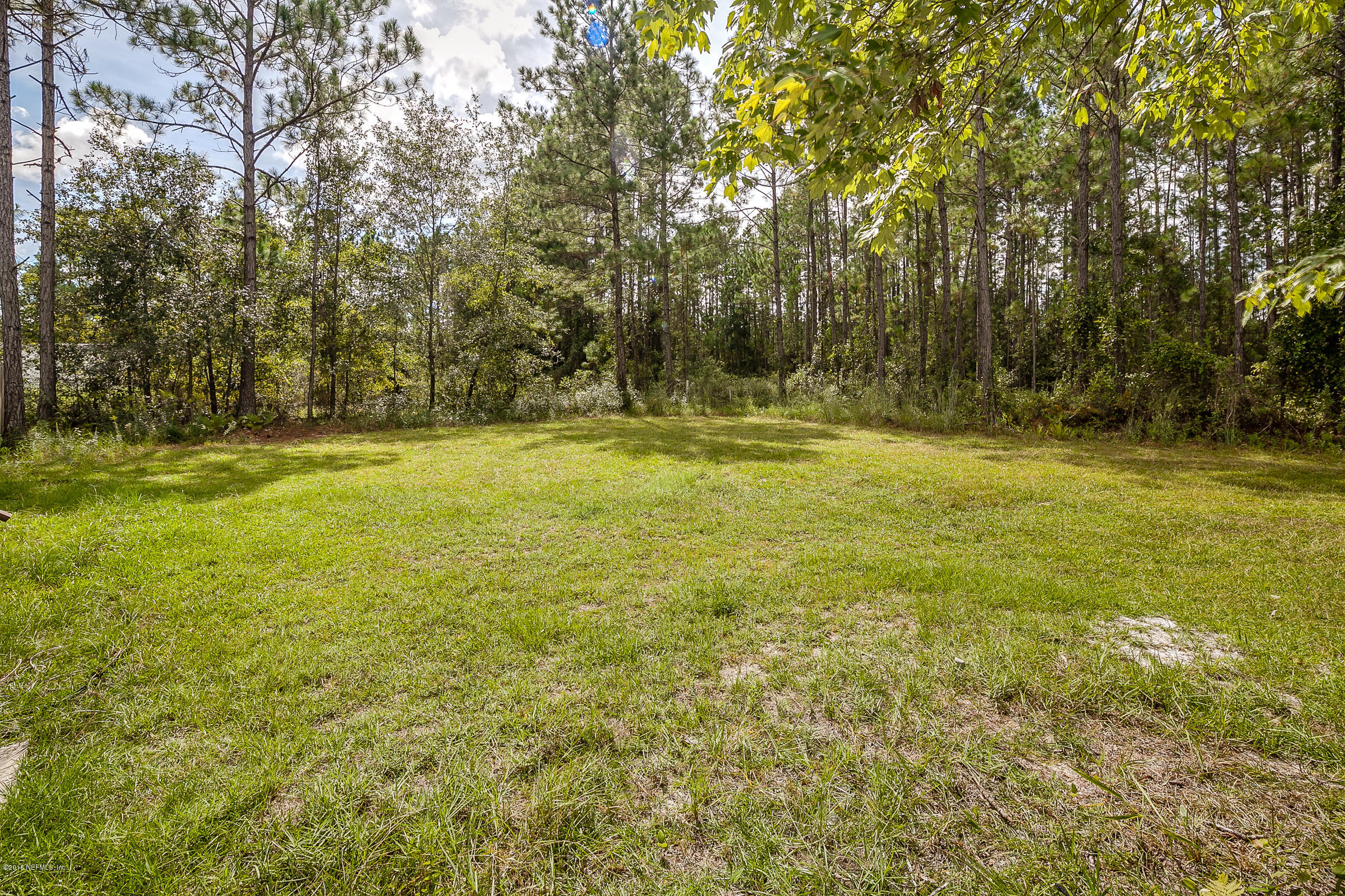 4920 Basil Street Middleburg, FL 32068 - Photo 22 of 25 Front_Yard