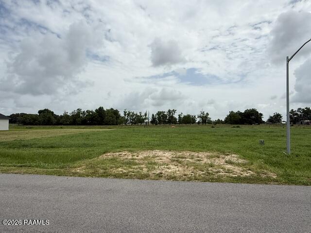 137 Chase Scott, LA 70583 - Photo 3 of 5 IMG_3951
