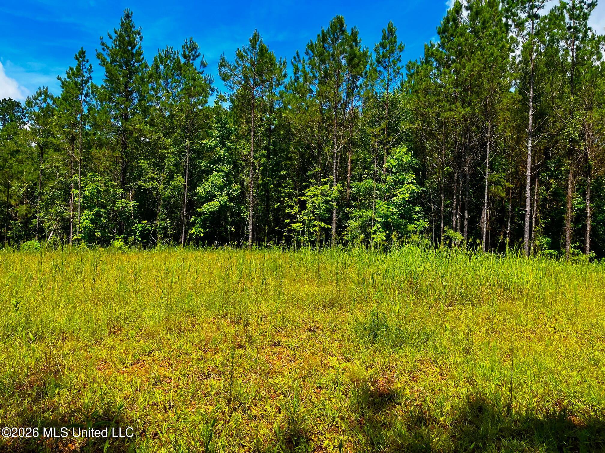 Arthur Drive Brookhaven, MS 39601 - Photo 10 of 20 ar9