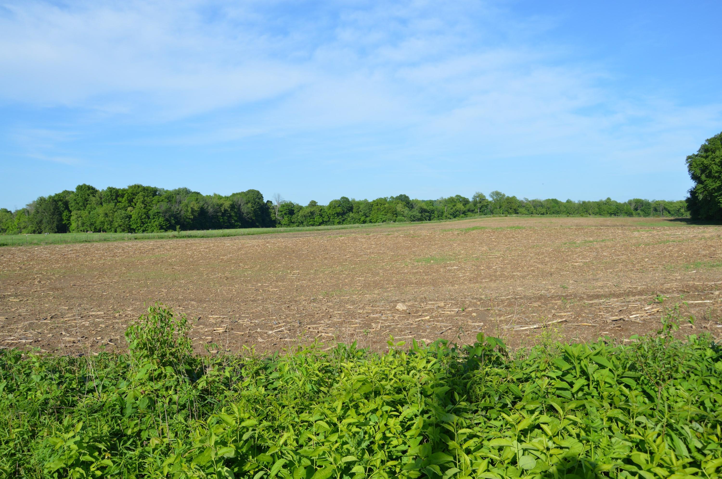 5835 Lake Drive Road Newark, OH 43056 - Photo 4 of 10